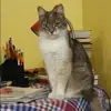 Отзыв от Ирина Миронова